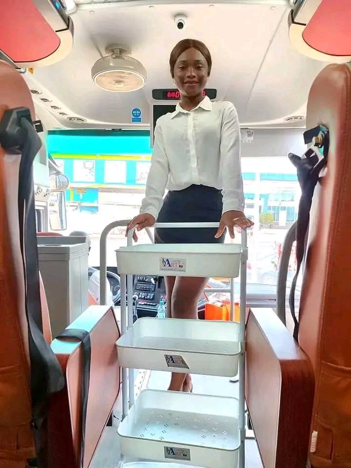 482277328 614190561371238 4420021835091448535 N