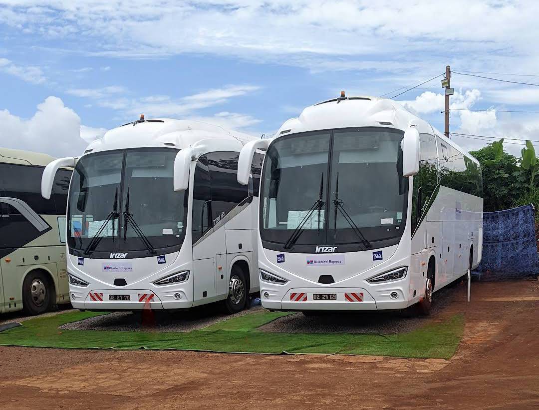 534695104 737428245714135 635233939292606665 N